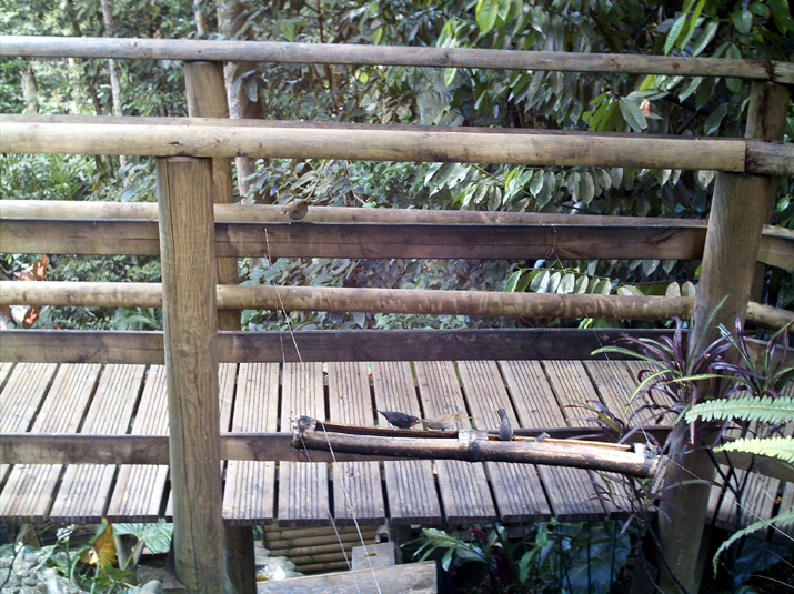 17a - Parc des Mamelles - Zoo 025.jpg